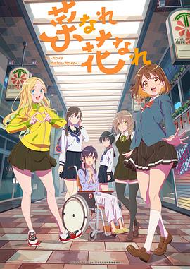 邢台网站优化方案流程